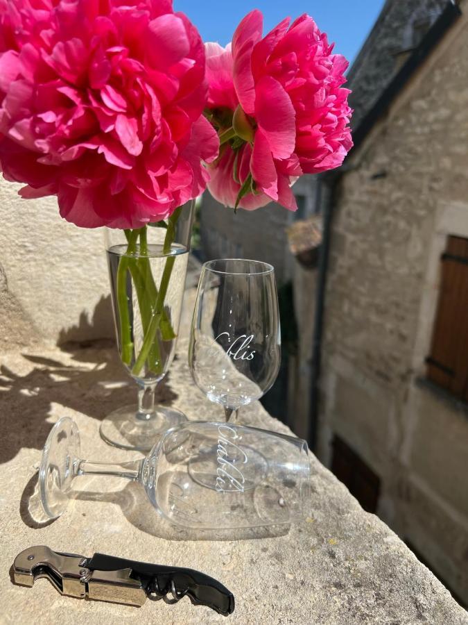 La Maison D'Alienor - Gites De Caractere A Chablis - 89 Buitenkant foto
